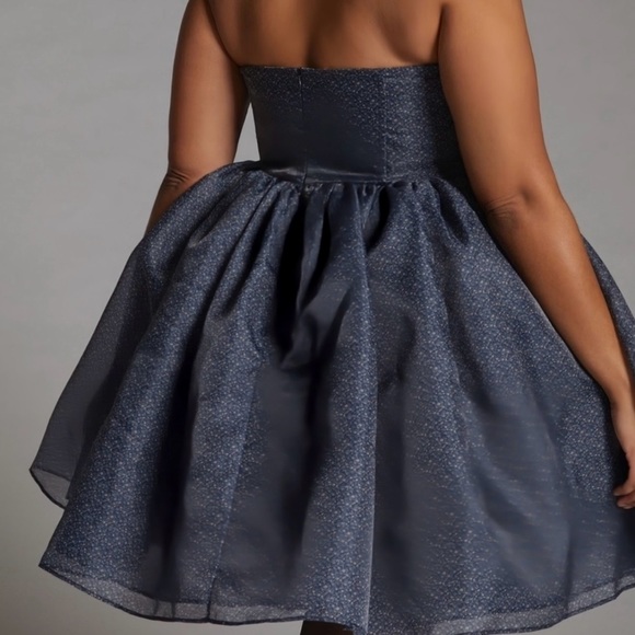 SELKIE THE ROCCOCO CORSET DRESS - SIZE L - Picture 2 of 7